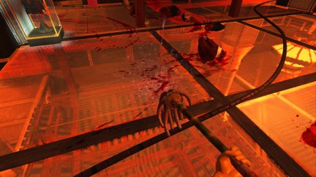 Viscera Cleanup Detail: Shadow Warrior (2013) PC | Лицензия